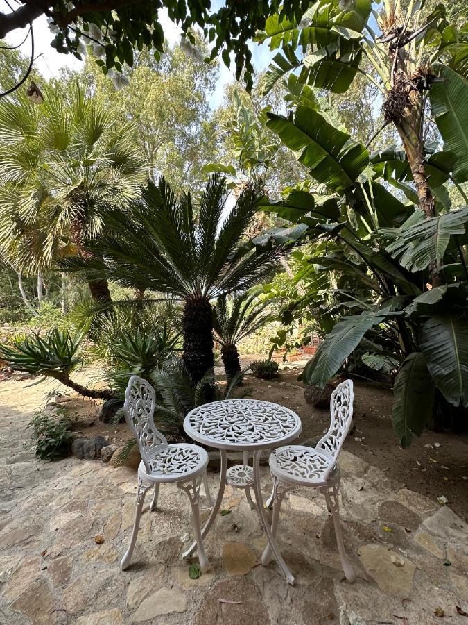 Villa La Petite Etoile Torre delle Stelle Ngoại thất bức ảnh